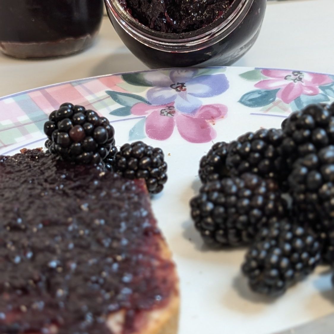 wp-17235572505498364598171947510190